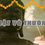 LUẬT VÔ THƯỜNG