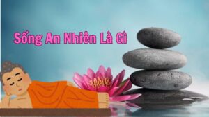 Sống An Nhiên Là Gì? Yếu Tố Quyết Định Đến Cuộc Sống Bình Yên