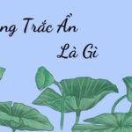 lòng trắc ẩn là gì