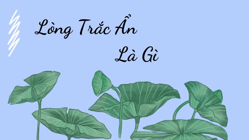 Lòng Trắc Ẩn Là Gì Và Cách Rèn Luyện